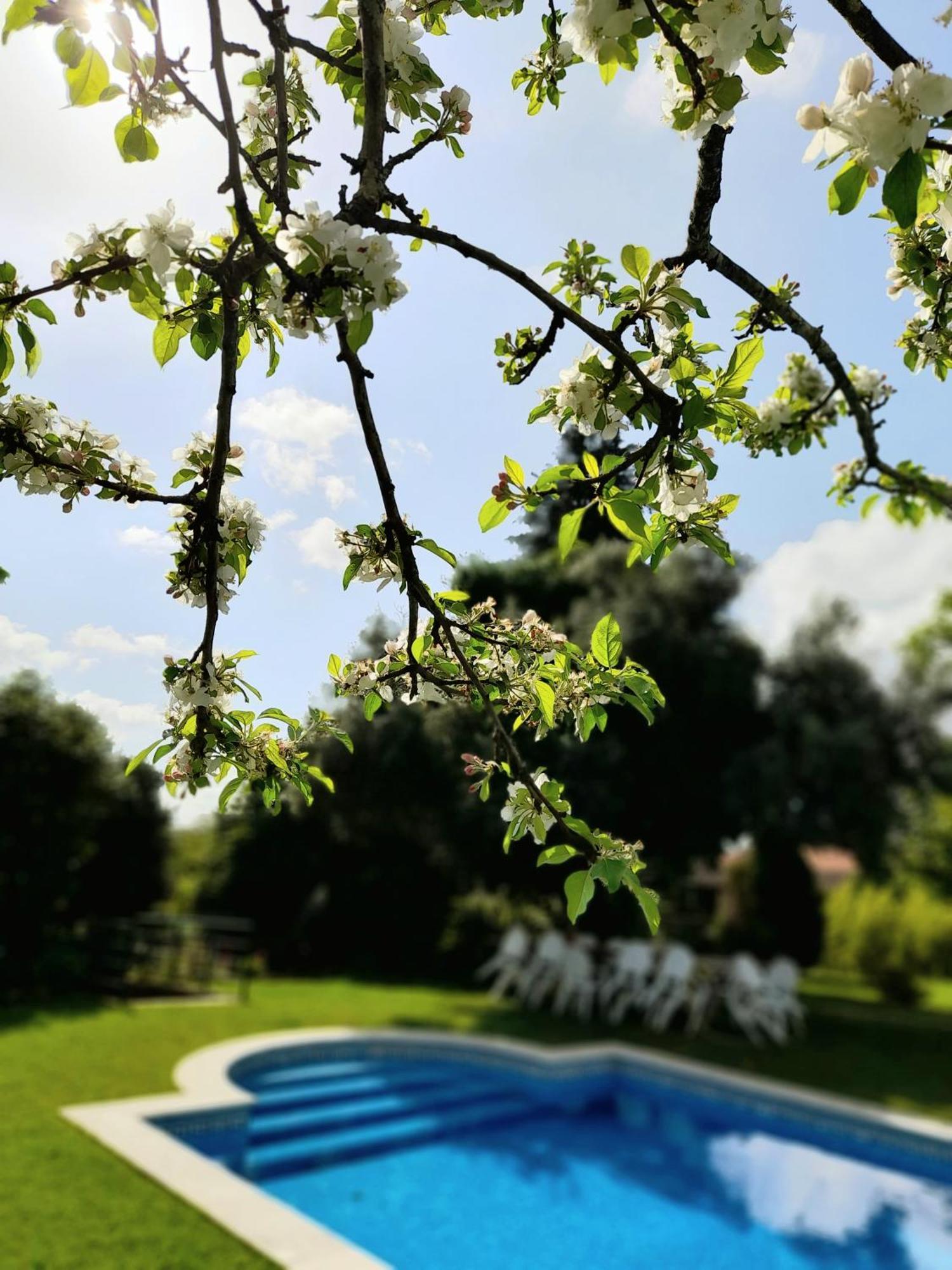 Quinta Da Mainha - Charming Houses 布拉加 外观 照片