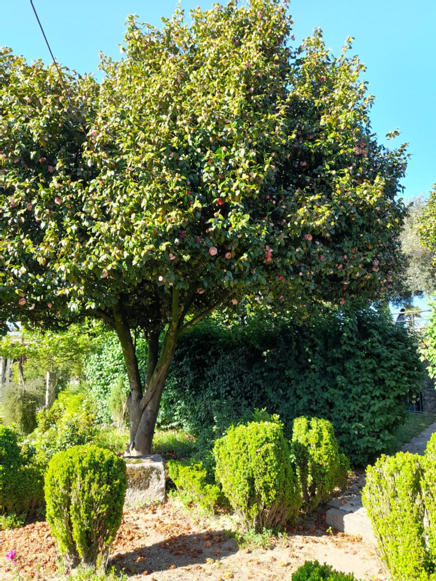 Quinta Da Mainha - Charming Houses 布拉加 外观 照片
