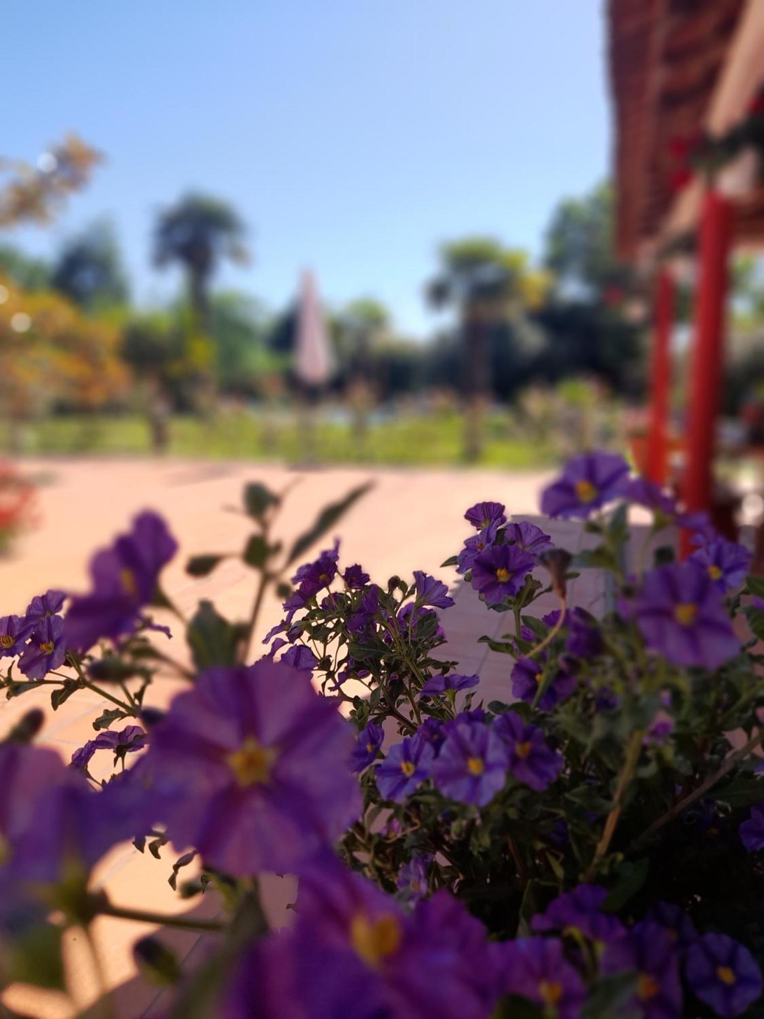 Quinta Da Mainha - Charming Houses 布拉加 外观 照片