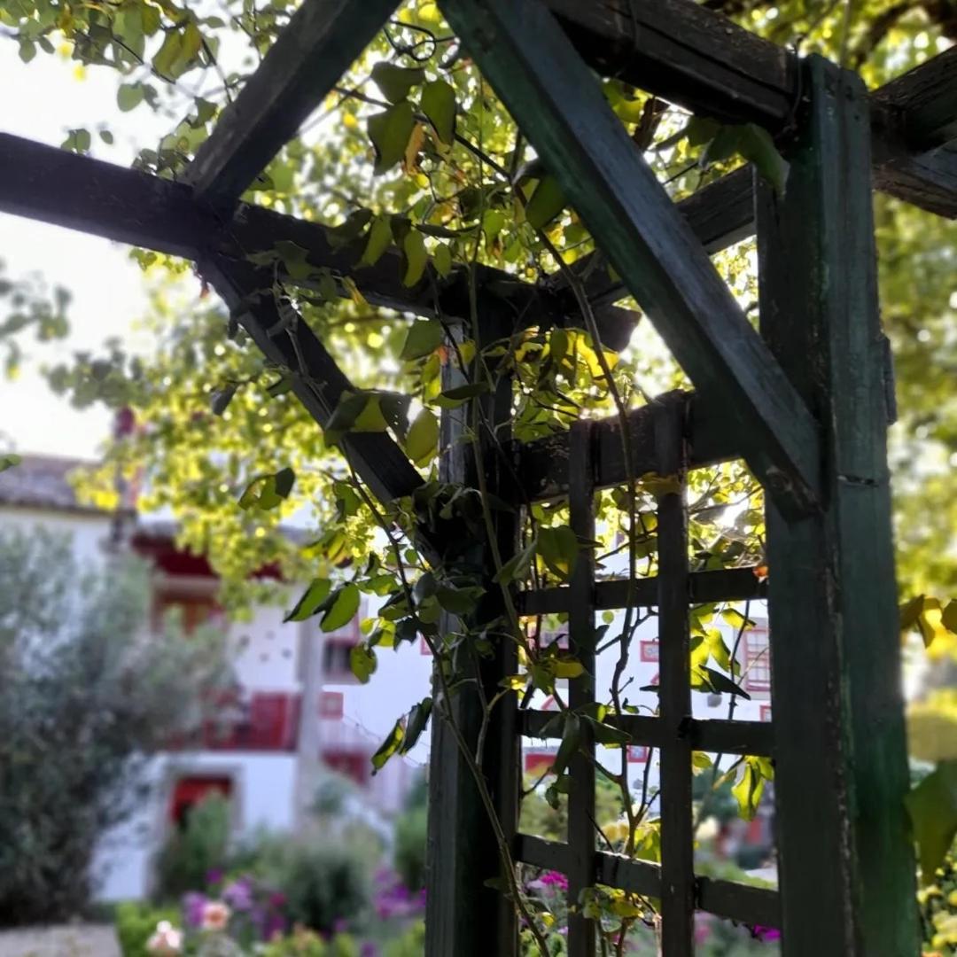 Quinta Da Mainha - Charming Houses 布拉加 外观 照片