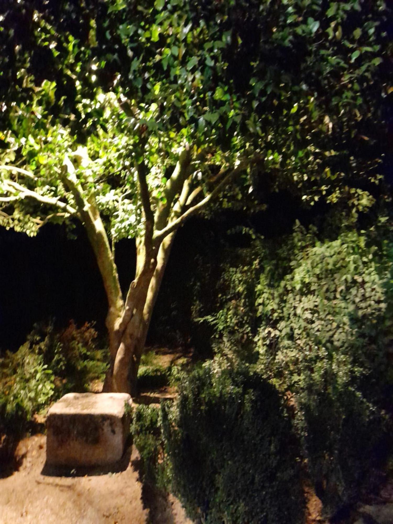 Quinta Da Mainha - Charming Houses 布拉加 外观 照片