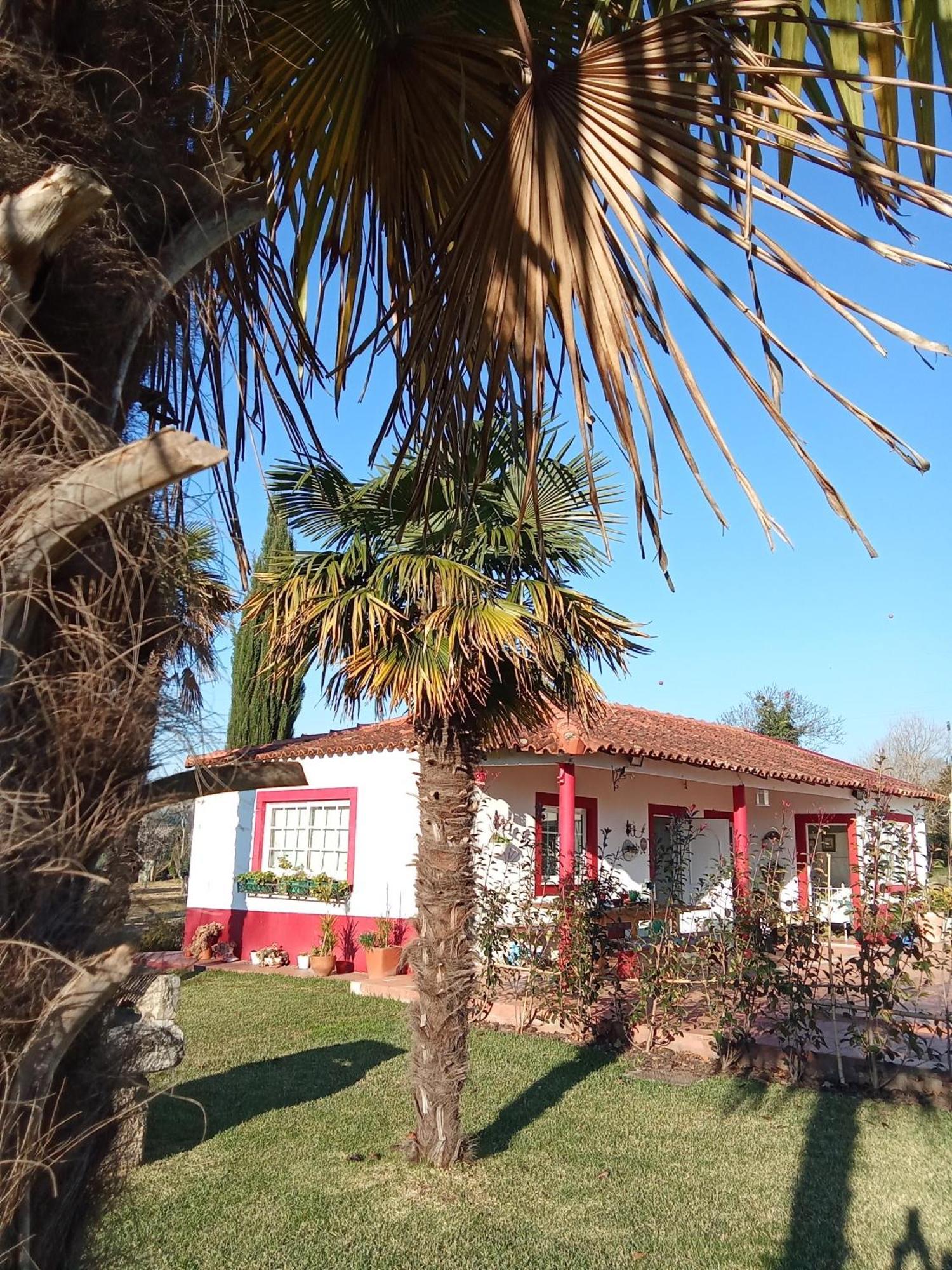 Quinta Da Mainha - Charming Houses 布拉加 外观 照片